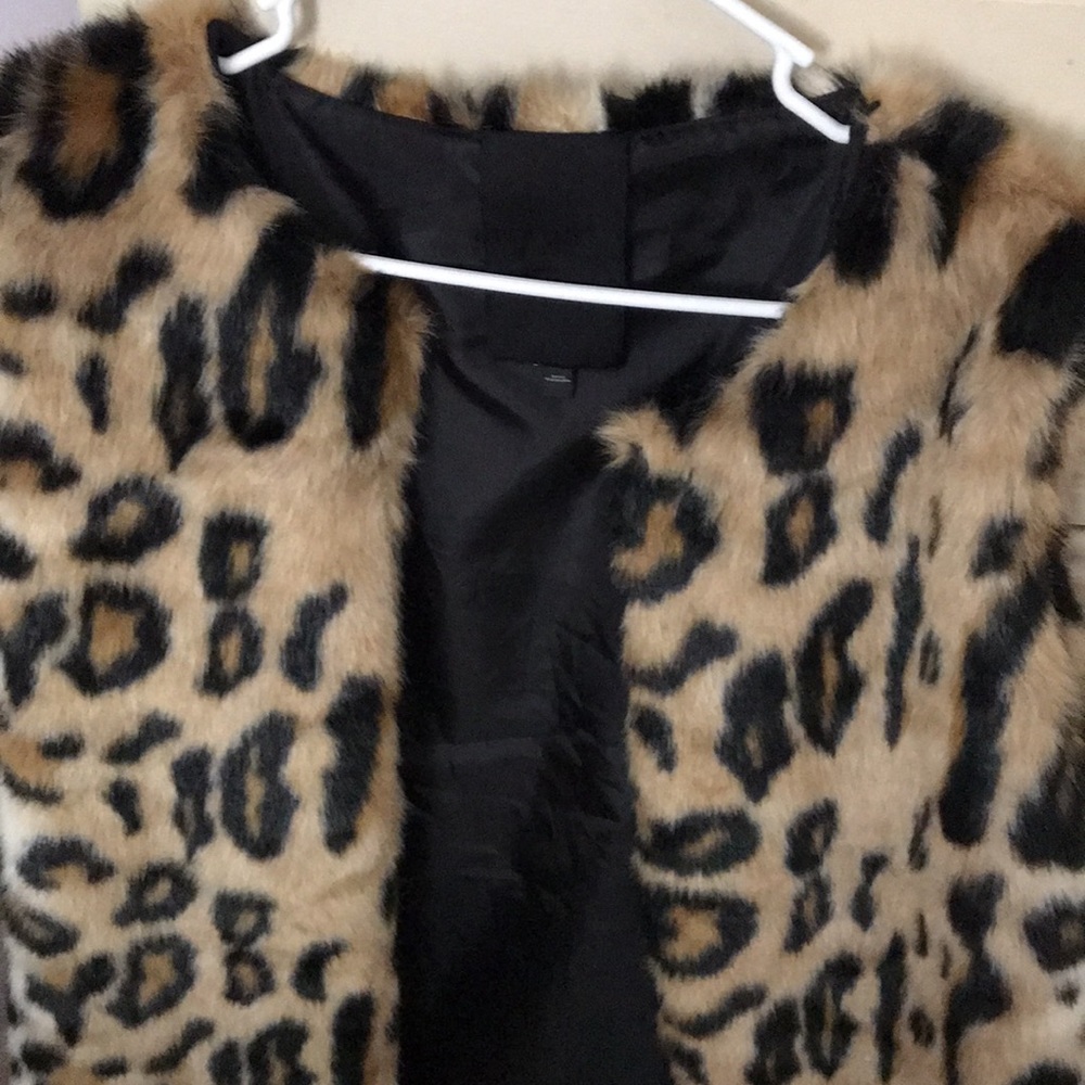 Express leopard vest - Picture 4 of 4